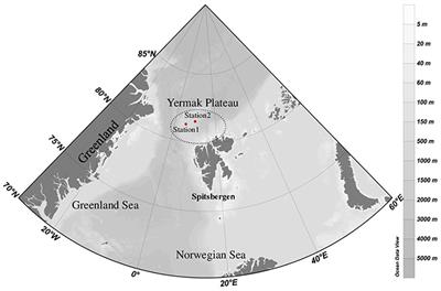 Microbial Eukaryotes in an Arctic Under-Ice Spring Bloom North of Svalbard